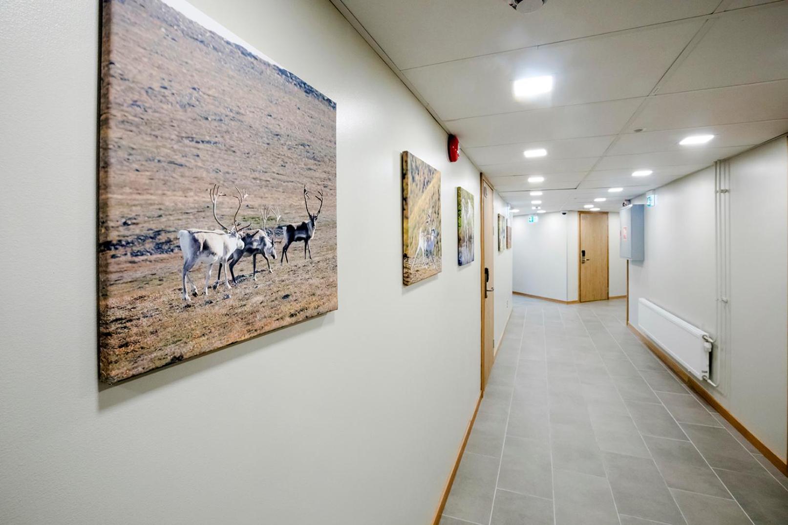 Hostel Toivola Kemi Dış mekan fotoğraf